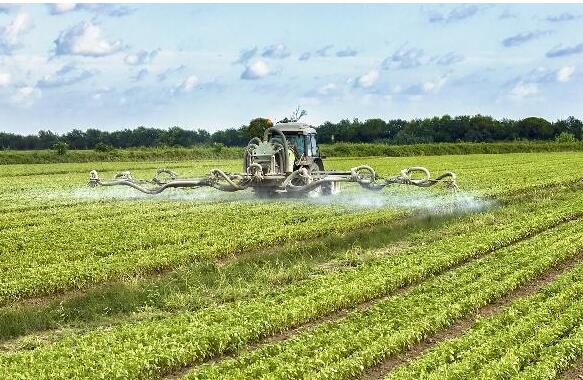 <a href=http://www.yizhonglx.com/mcy/ target=_blank class=infotextkey>木醋液</a>