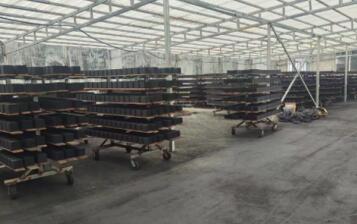 保定防水型<a href=http://www.yizhonglx.com/fwzhxt/ target=_blank class=infotextkey>蜂窩活性炭</a>廠家報價